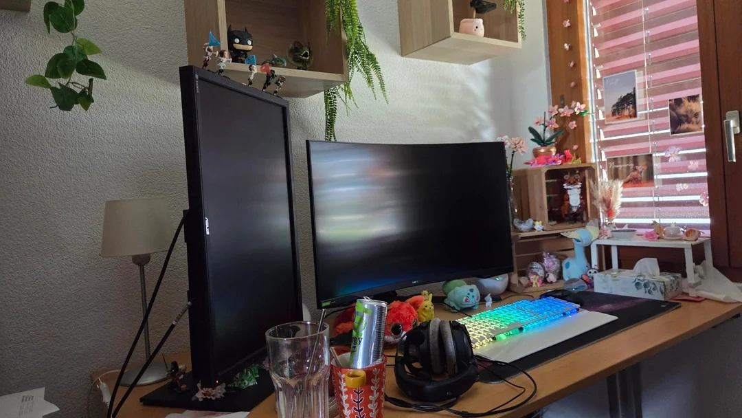 1000233719.webp
