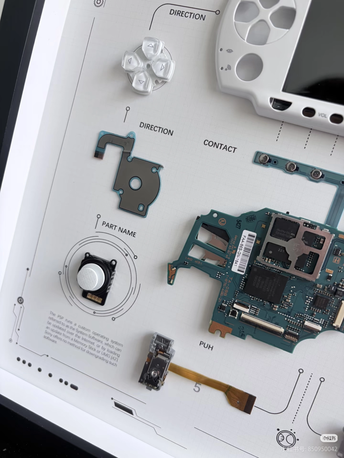 1000239845.webp