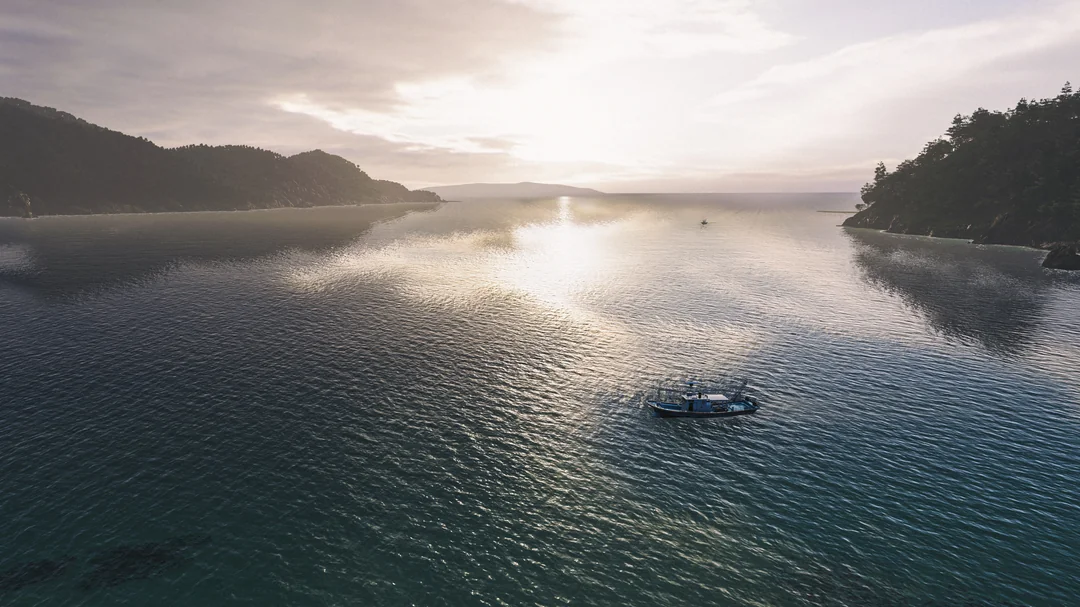 types-of-forza-horizon-6-v0-qu3h19eux38h1.webp
