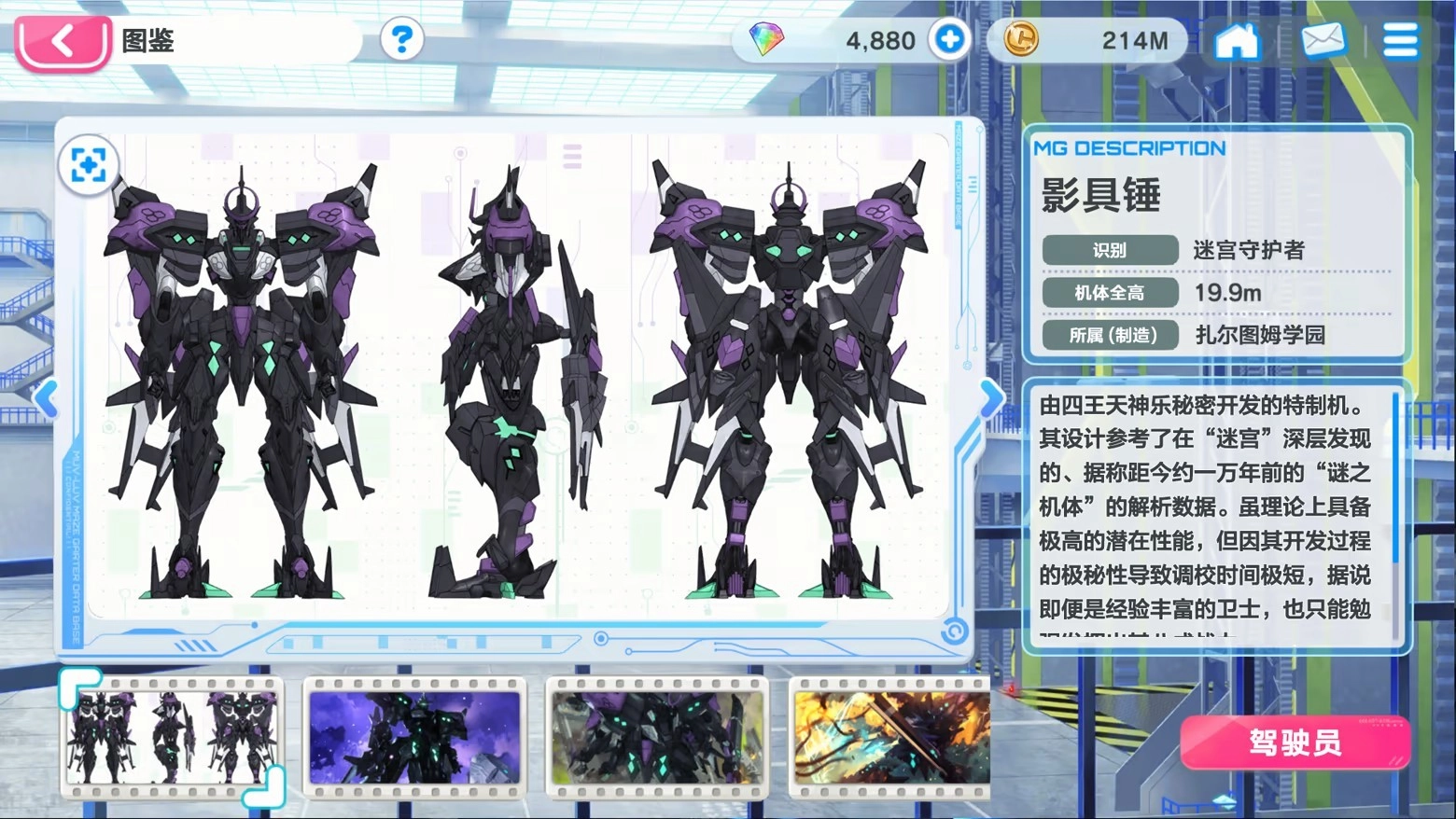 1000241268.webp