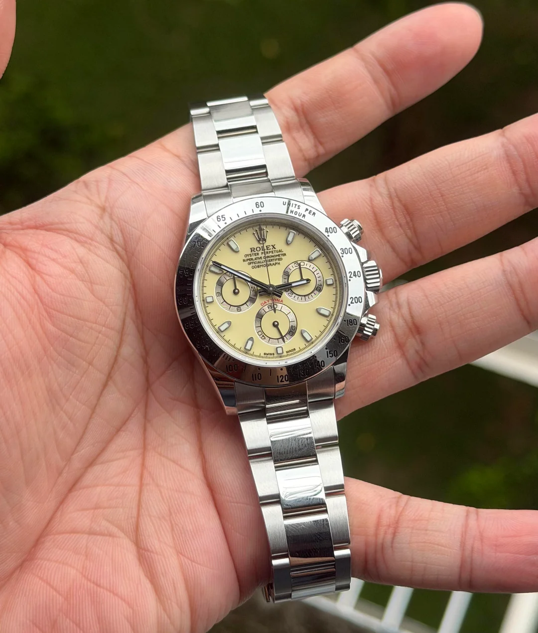 wts-wtt-sg-vsf-116520-panna-1399-v0-pl2a9ca7dzah1.webp