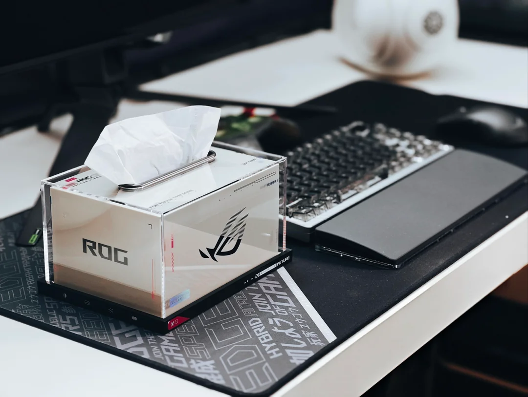 finally-a-tissue-box-worthy-of-my-setup-v0-mv3oik36kkih1.webp