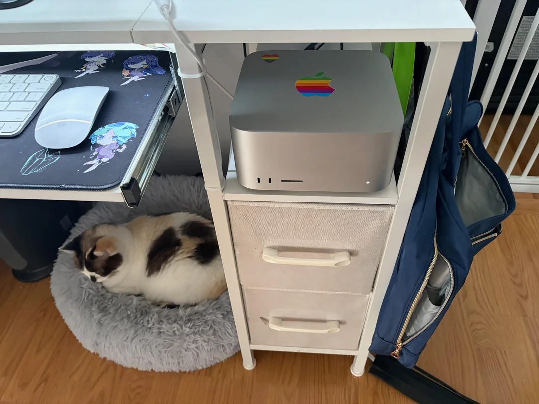 comic-artist-setup-v0-kb86kh22jrkh1.webp