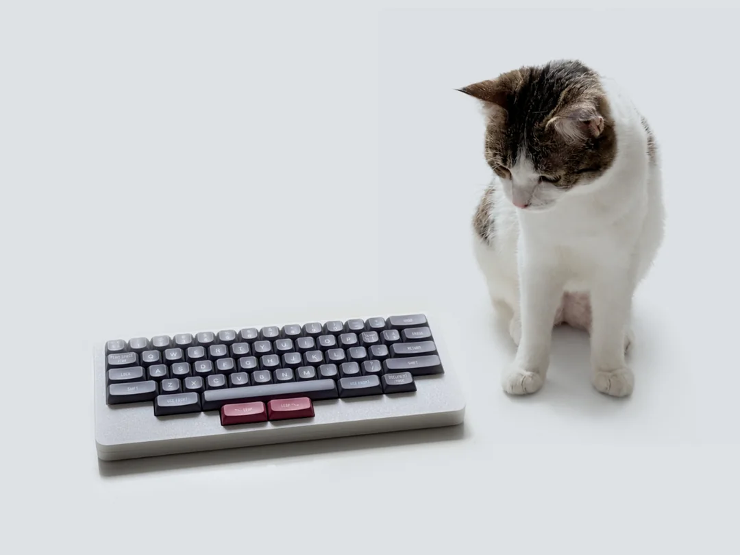 i-built-a-keyboard-based-on-the-canon-cats-layout-v0-m6x53w581blh1.webp