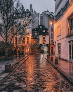 雨后的巴黎街头