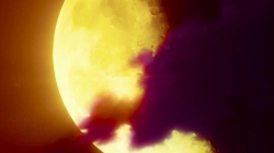 宝具！享受这视觉盛宴吧！#超燃 #动漫推荐 #动漫剪辑 #视觉震撼 #漫剪 #wake漫剪 @DOU+小助手