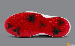 Jordan Air Rev Golf