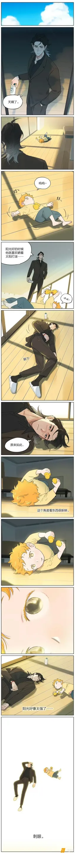 #捡了东西的狼# 晴天。 ​​​