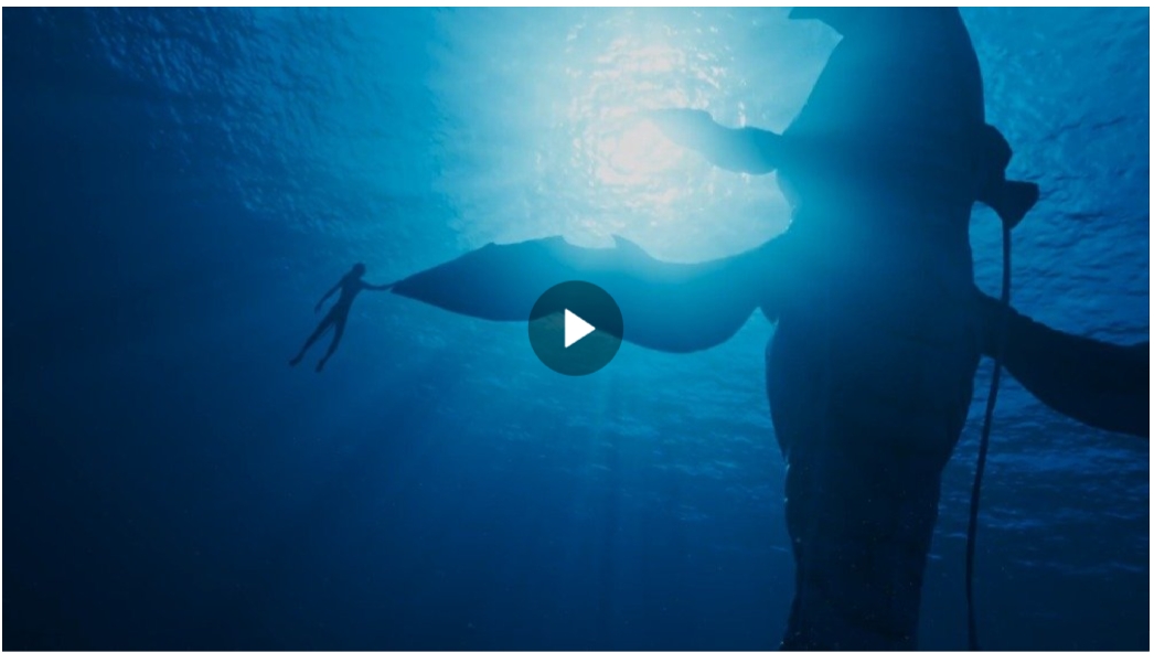詹姆斯·卡梅隆《阿凡达2：水之道》首支预告公开。12月16日北美上映。