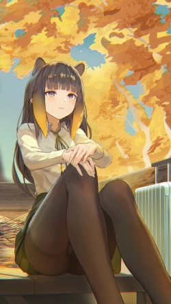 画师 三可月豕(Dolphenry) ​​​