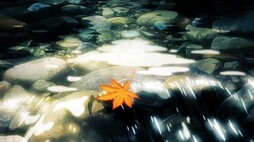 还是最初的我们吗