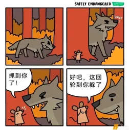 狼抓老鼠：嘿，该你藏啦！ ​