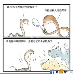 哈哈哈哈哈眼镜蛇 ​
