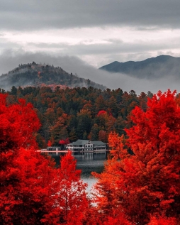 纽约普拉西德湖的秋色