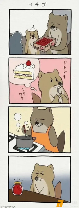 从草莓到果酱：“喵大厨”的甜美“变形记” ​