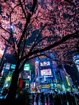 随拍街景