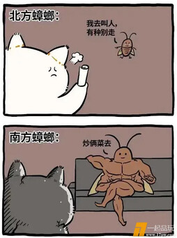 这个家给你了