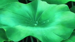 小时候特别喜欢下雨，因为只有这样才能一家人围着看电视，