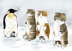 假如我是一只猫，插画师mofu_sand治愈系猫咪插画