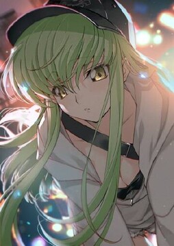 嵐月 twi: ccreayus  新宿出没