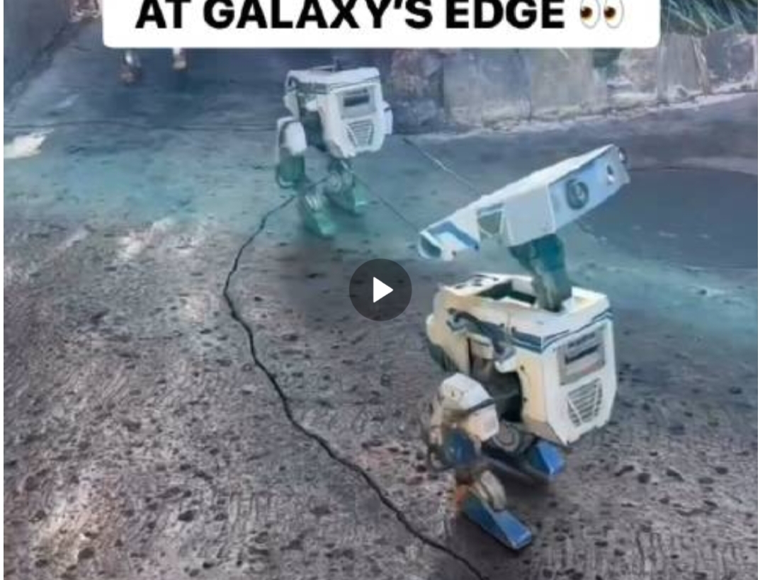 #星球大战#乐园的BD-1系列机器人，R2涂色
