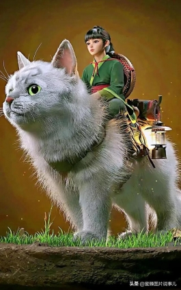 你要的另类壁纸美图