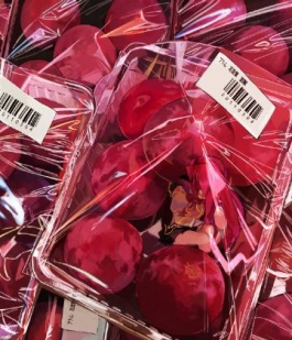 #佳作赏析# みひふ twi@MihifuHi