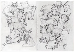 动物手绘素描速写范画素材