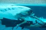 《阿凡达2》曝光片场照 水下戏份成影片重点